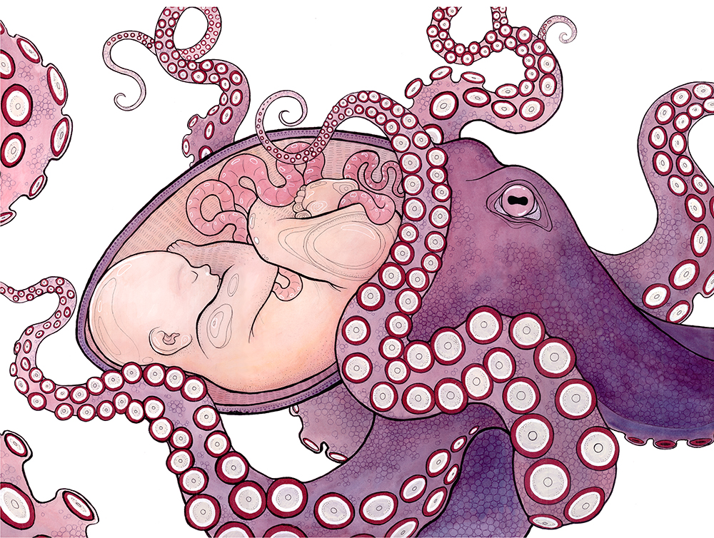 octopus illustration with human baby in cranium womb