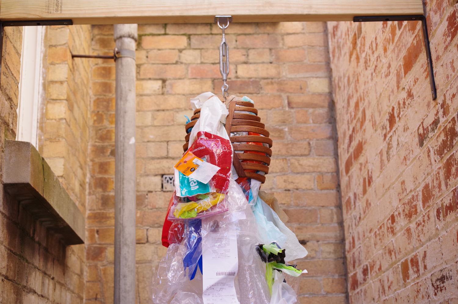 Close up up the ribcage from the front. Ribcage is partly hidden with rubbish.