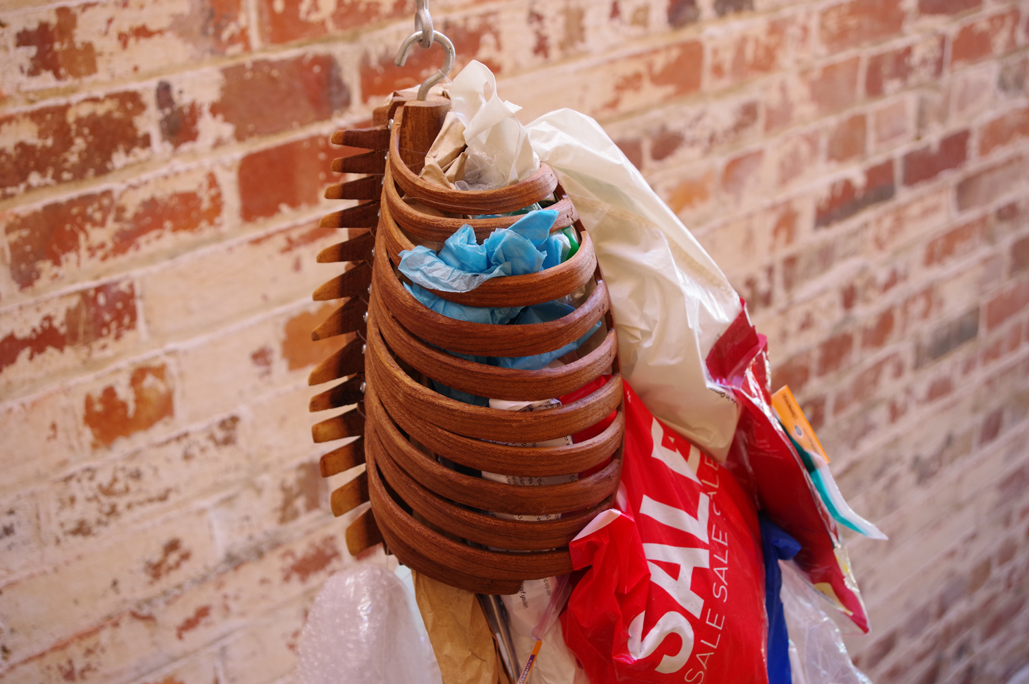 Close up of ribcage from side, shows the silhouette of the spin.