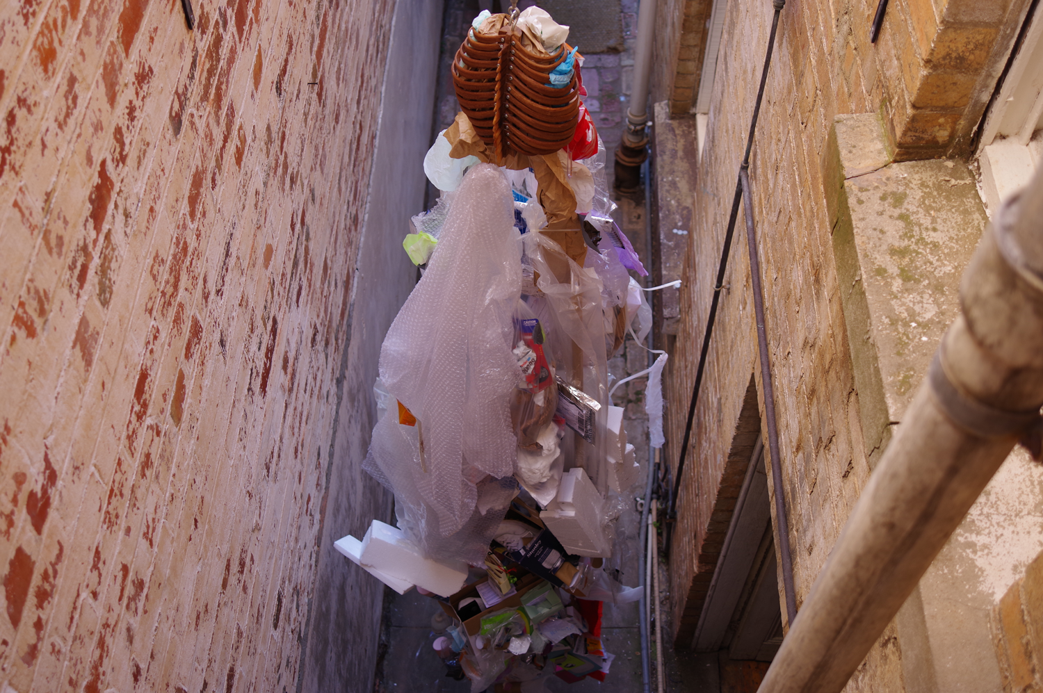 The ribcage from the back, shows the bends in the ribs and the rubbish below it.