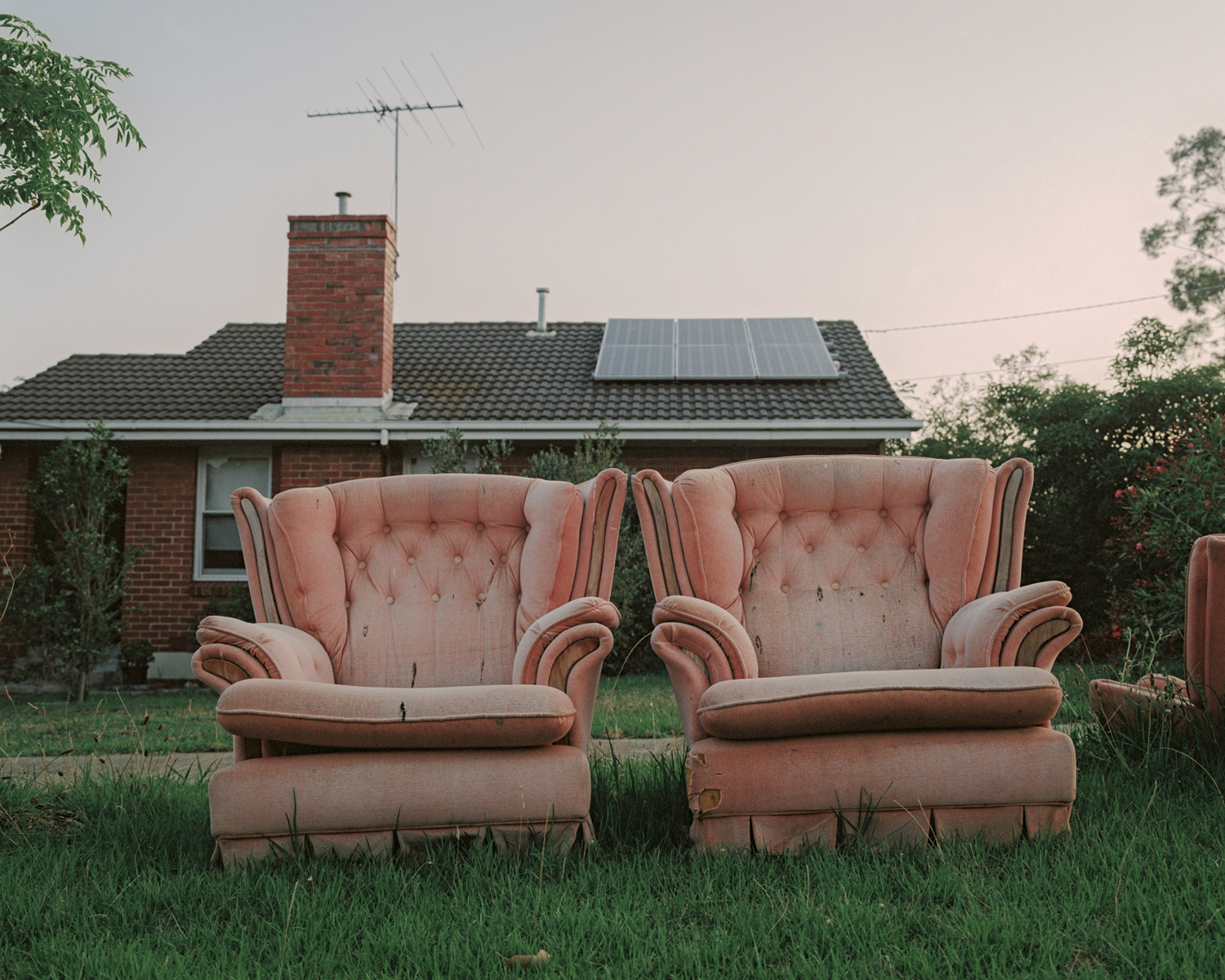 Colour photograph depicting two pink sofas at sunset.