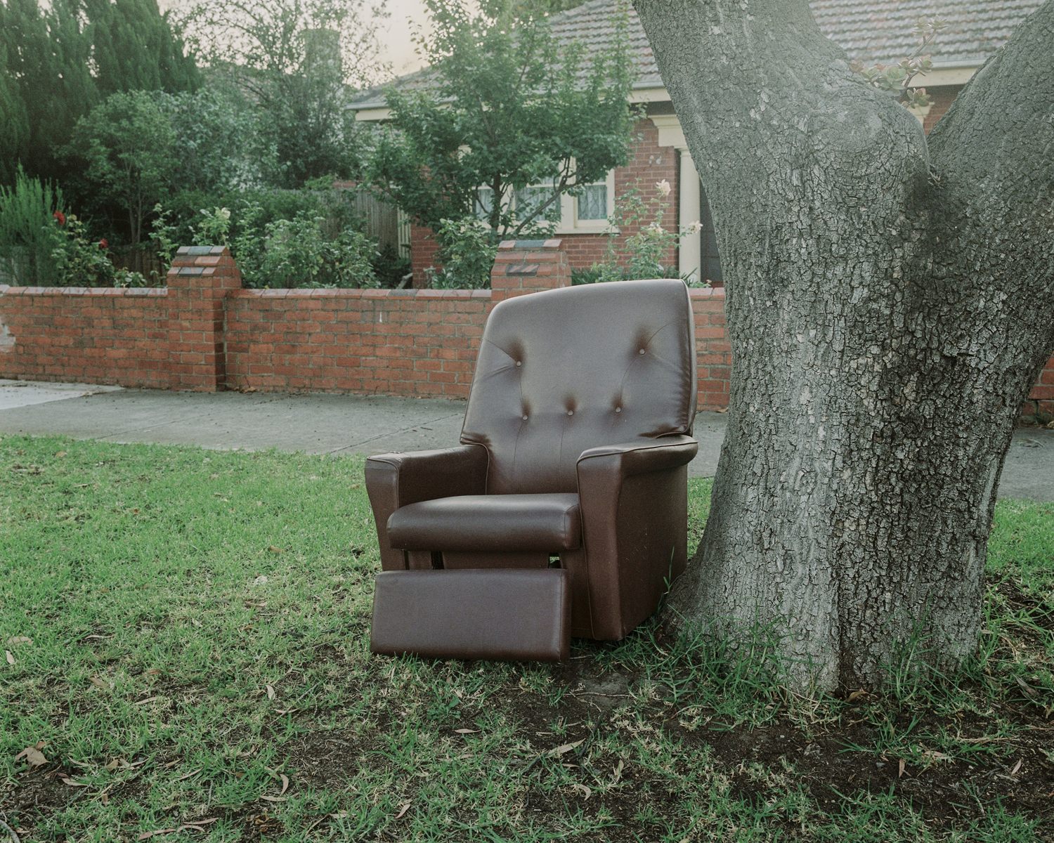 Colour photograph depicting a leather arm chair on a nature strip.