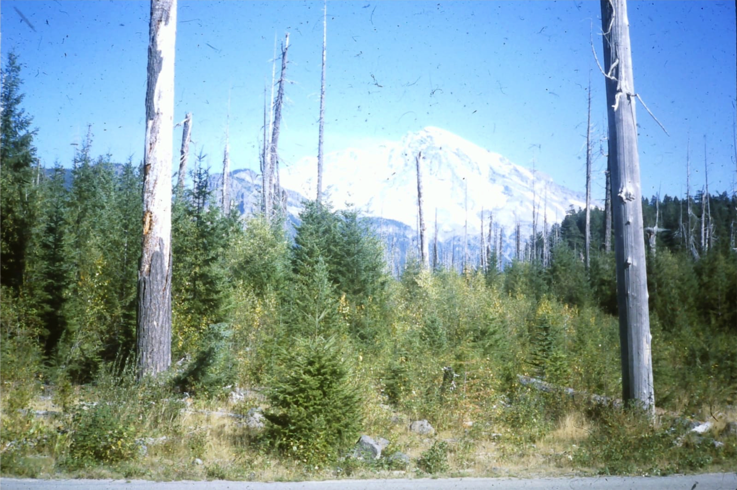 Analogue photograph of mountainous landscape.