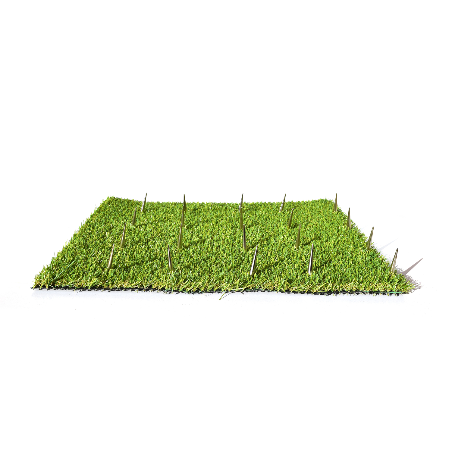 A square piece of synthetic grass with 20 spike studs evenly spaced, sticking out of the grass.