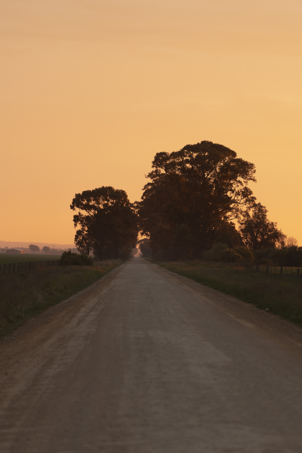 Colour photograph of dirt road in countryside at sunset.