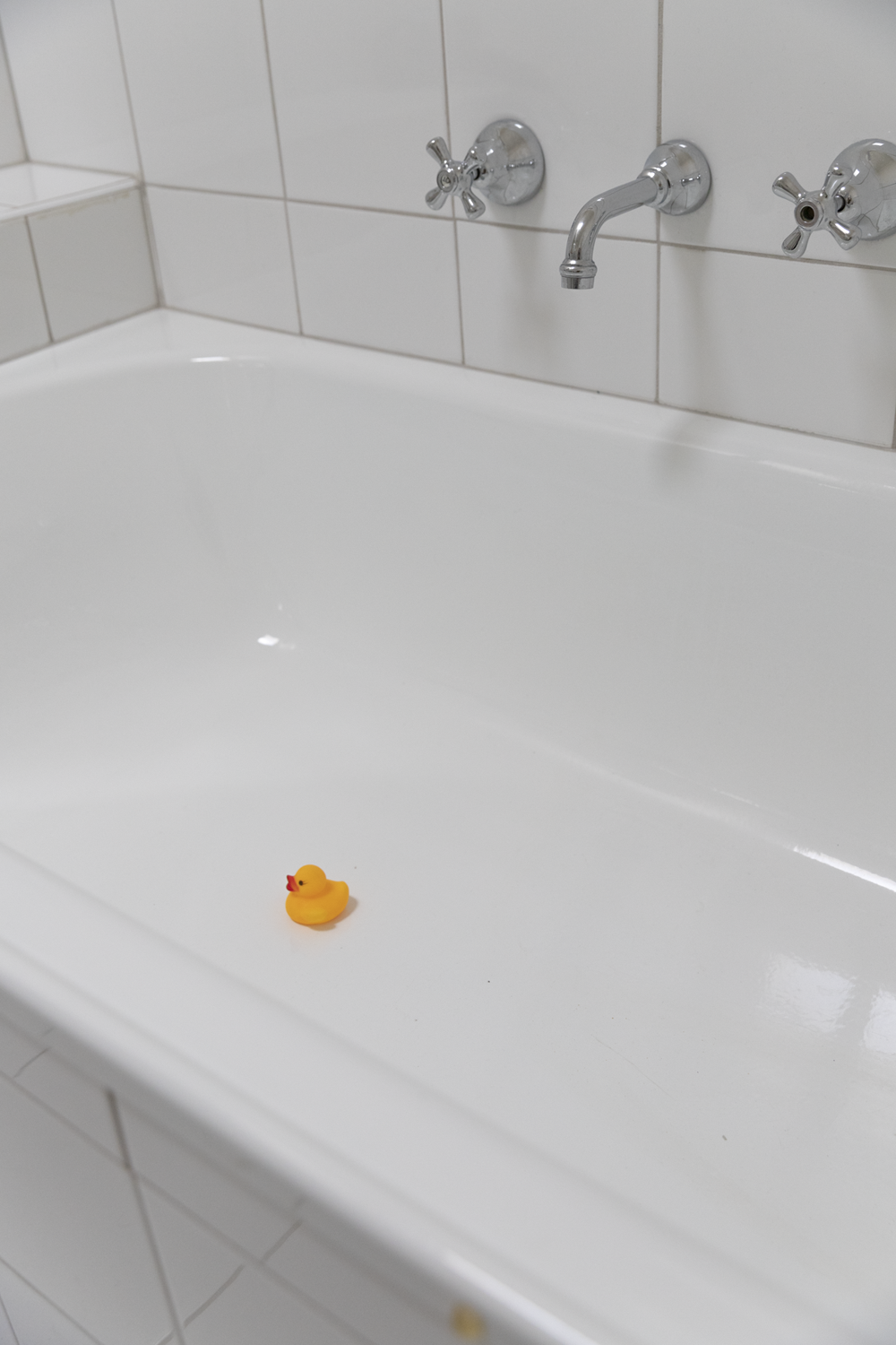 Colour photograph of rubber duck alone in large white bathtub.