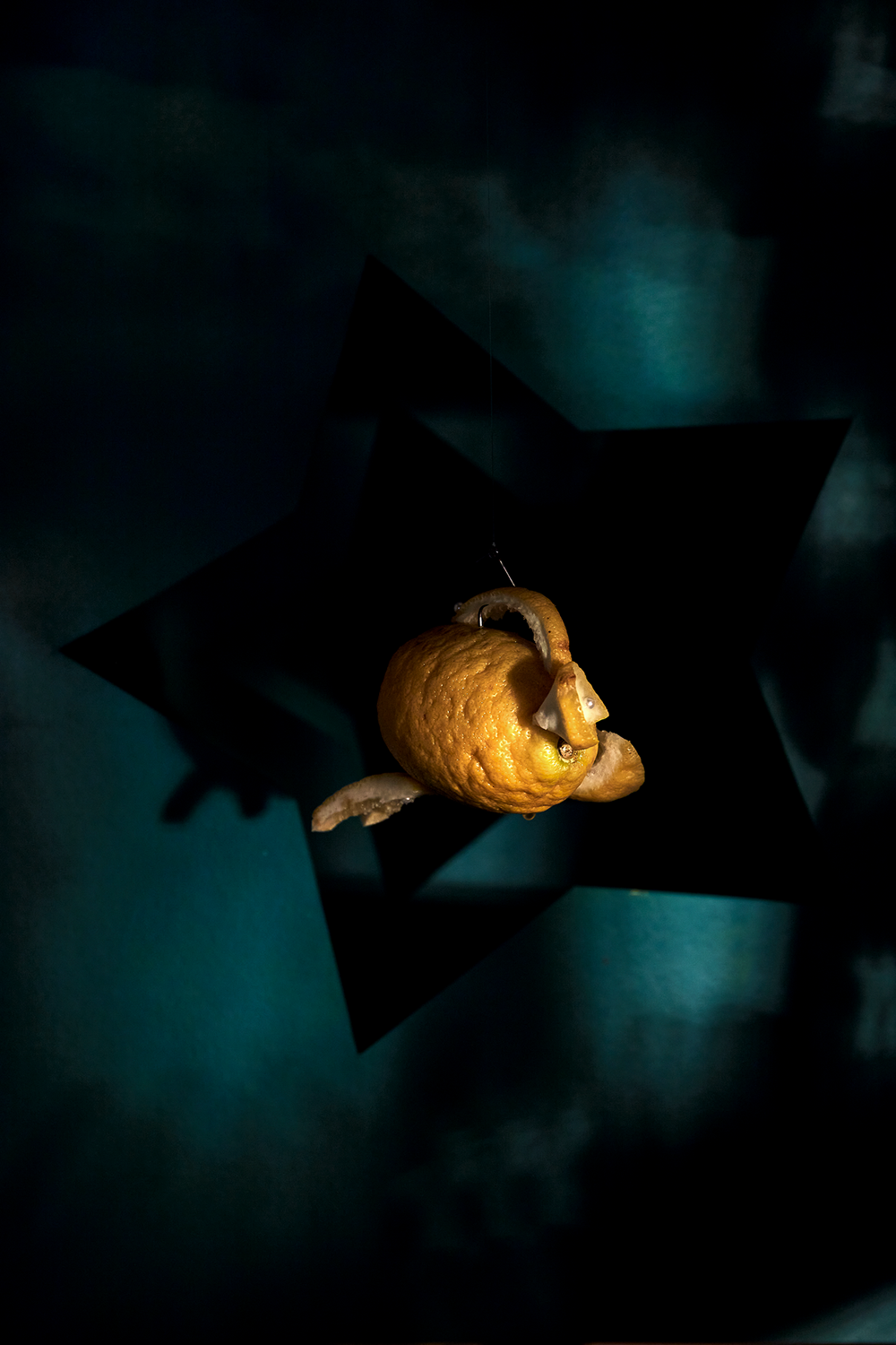 Colour photograph of lemon with cut bit of lemon attached on the side. Lemon hangs in a teal star with dappled light.