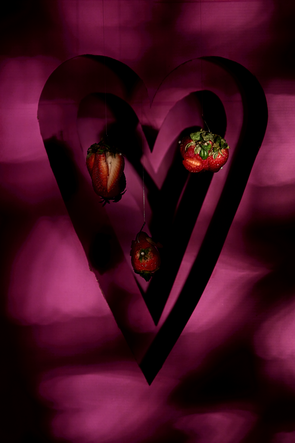 Colour photograph of three strawberries. Strawberries hang in a heart shaped void in a magenta background with dappled light.