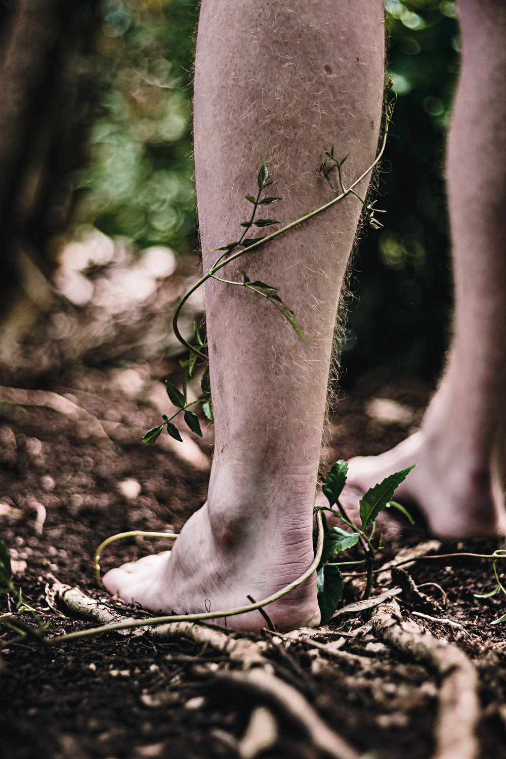 Colour photograph of a leg standing on forest ground with vine wrapped around it.