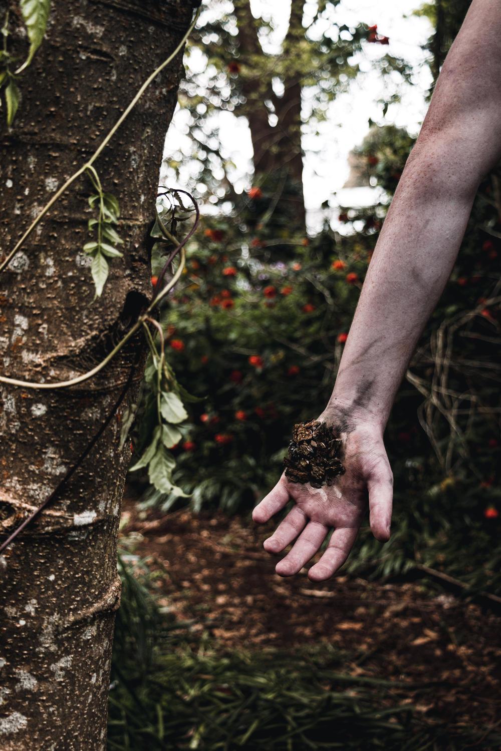 Colour photograph of a hand covered in dirt and tree bark, dangling in a forest scenery.