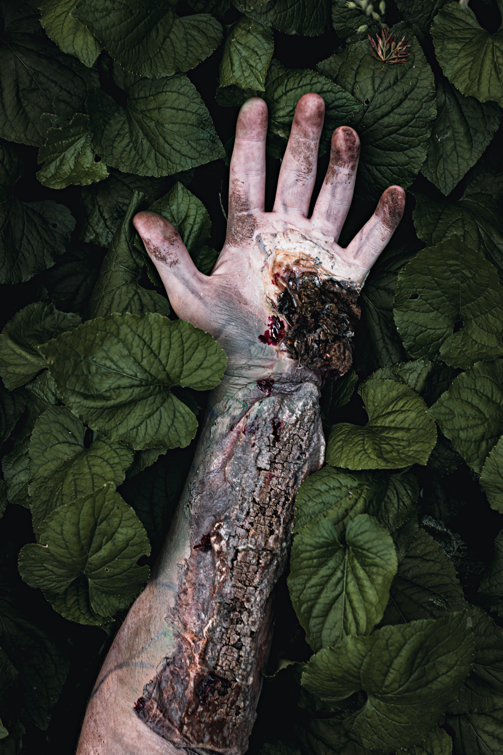 Colour photograph of a tattooed arm covered in dirt and bark with leaves in hand.