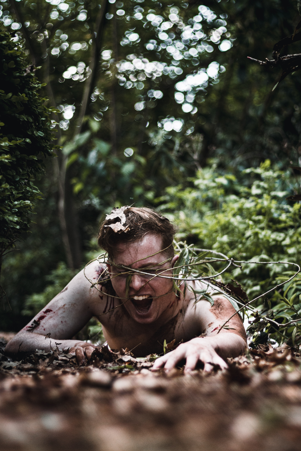 Colour photograph of a man crawling and trapped on ground in vines amongst forest scenery.