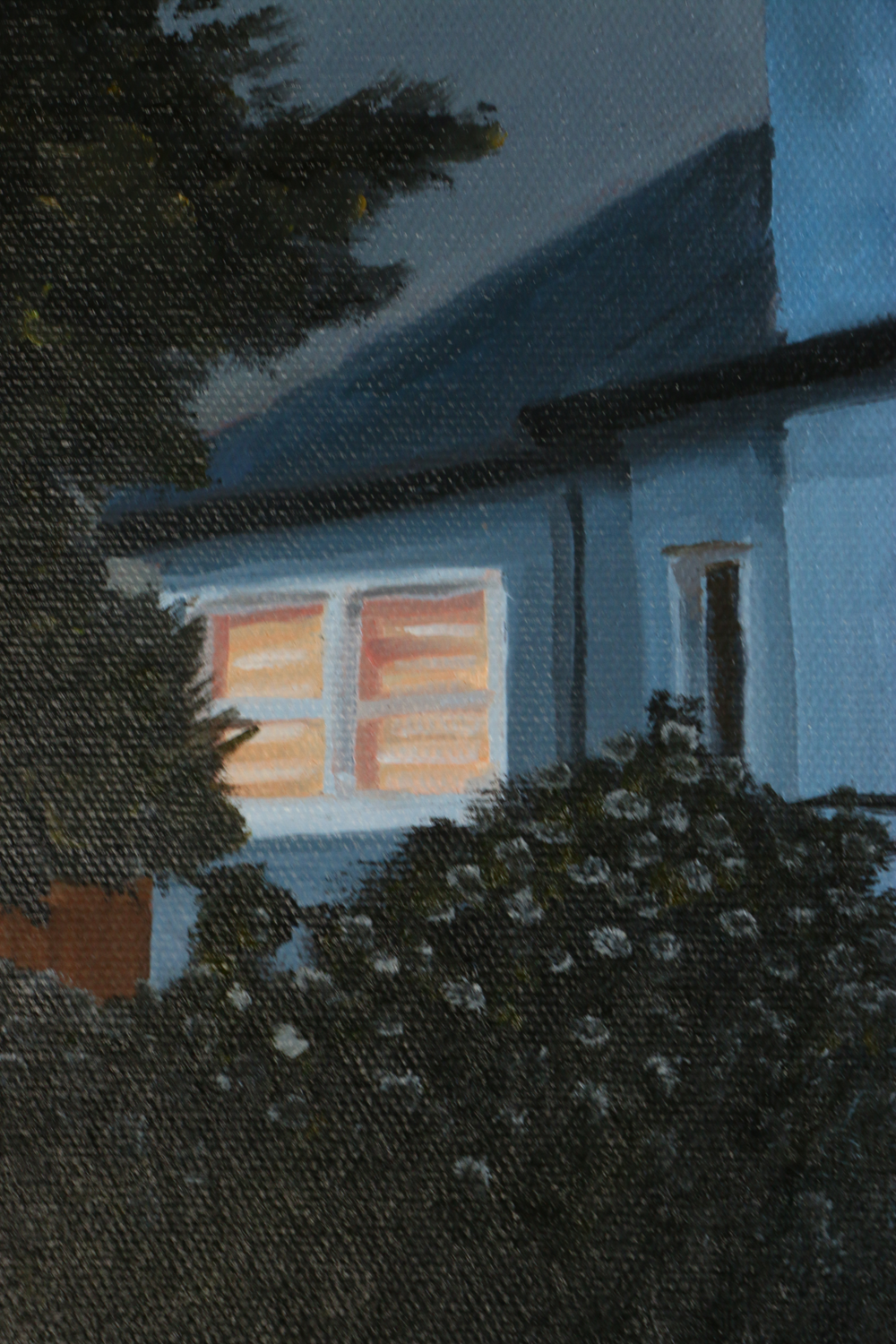 Close up of window, documented from behind bushes