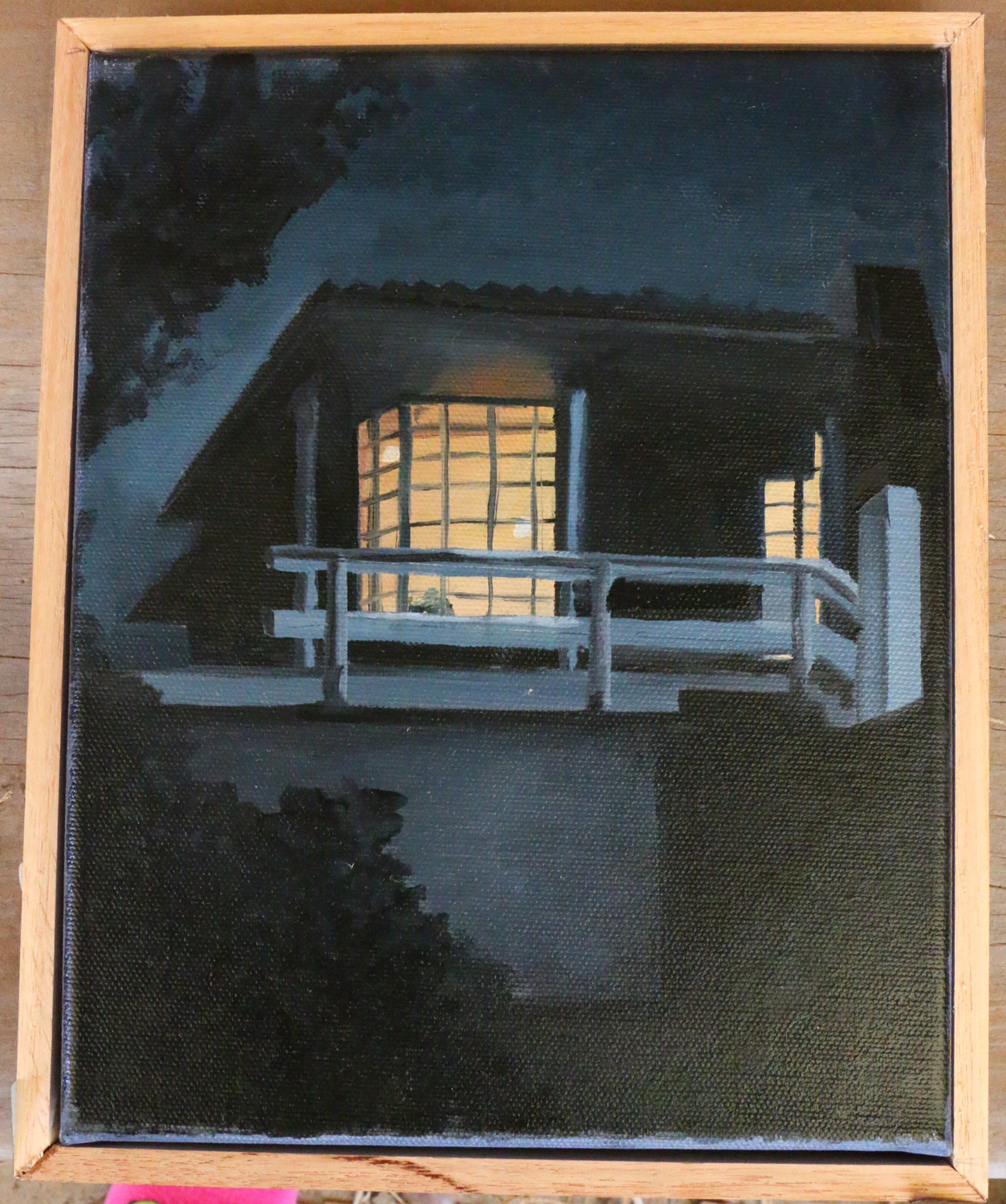 House at night, Hidden behind bushes