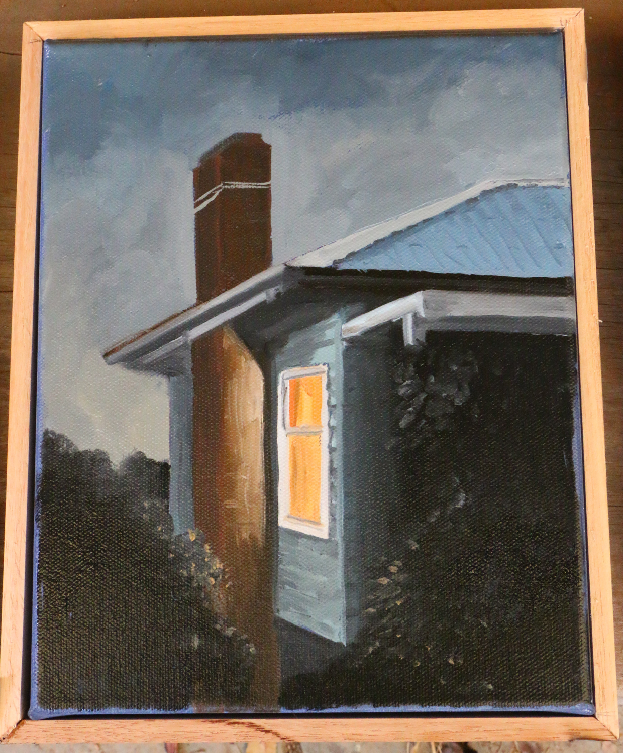 House at night, Documented from behind bushes