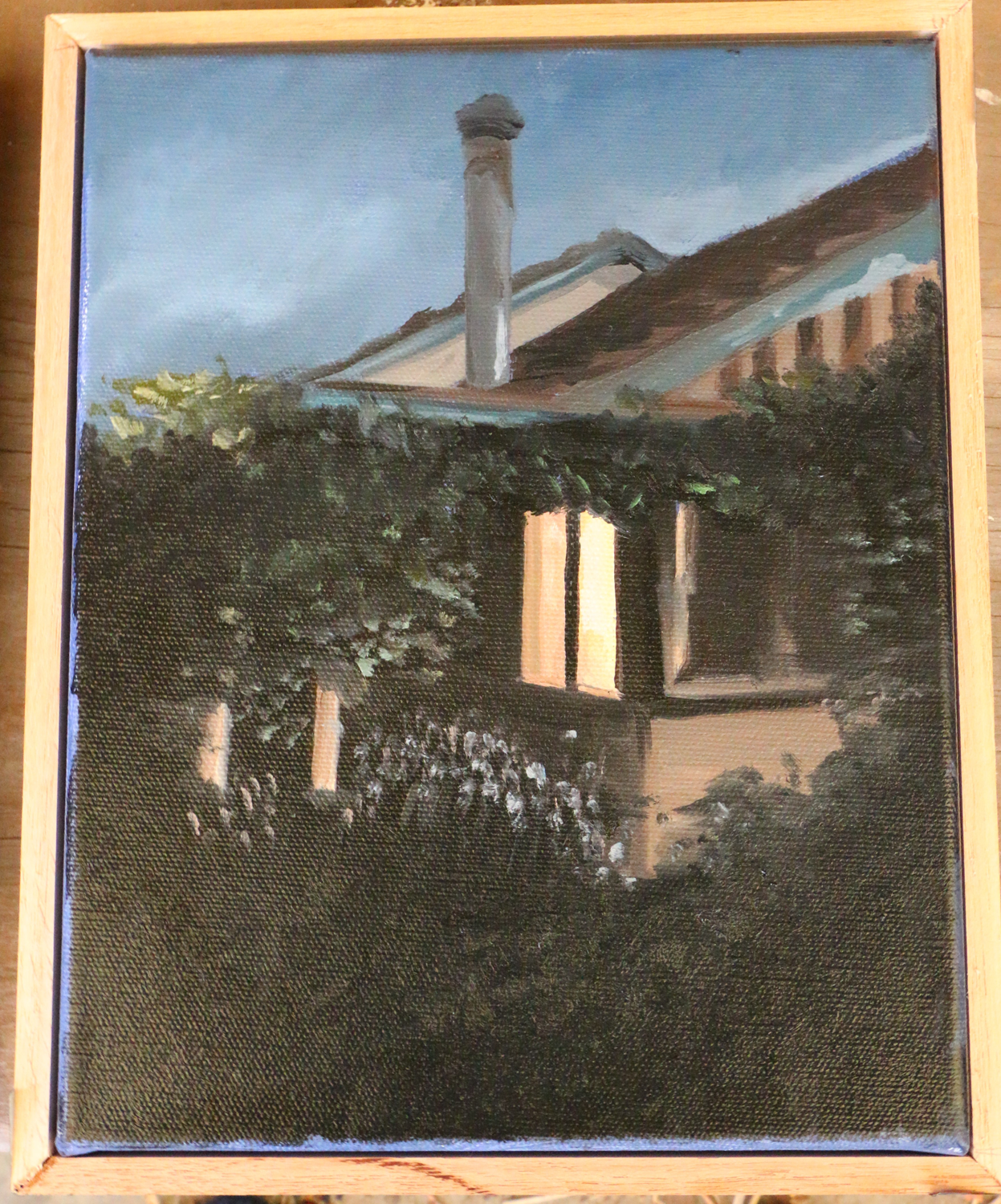 House at night, Documented from behind bushes