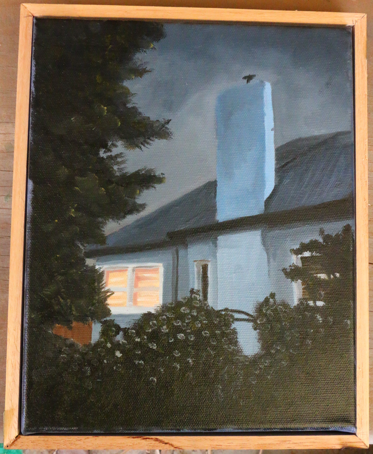 House at night, Documented from behind bushes