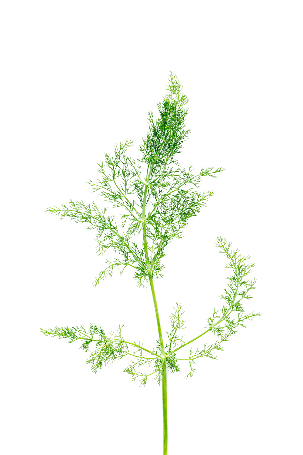 RMIT_Sarah-Elizabeth Lynch_1.png