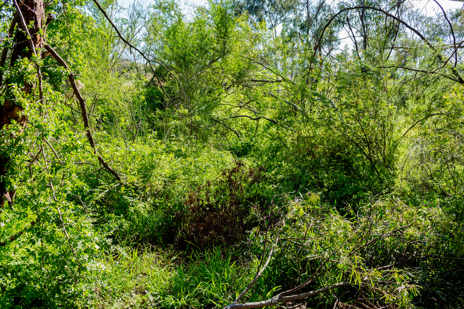 RMIT_Sarah-Elizabeth Lynch_2.png