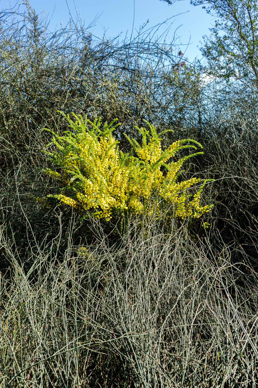 RMIT_Sarah-Elizabeth Lynch_4.png