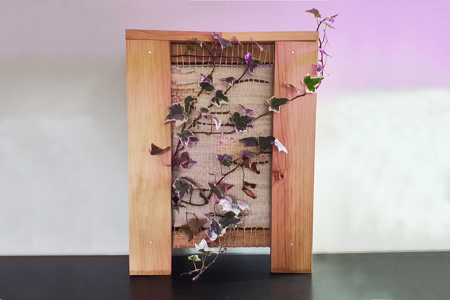 Grace Evangeline Stuart