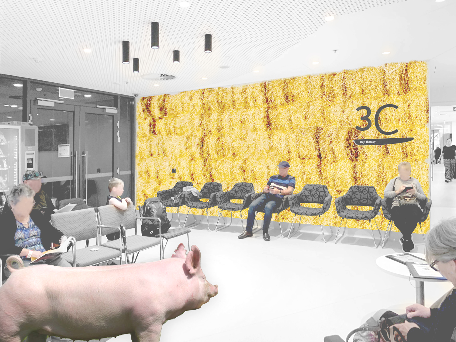 Work 3. Site Of Memory, Peter Mac Cancer Centre.