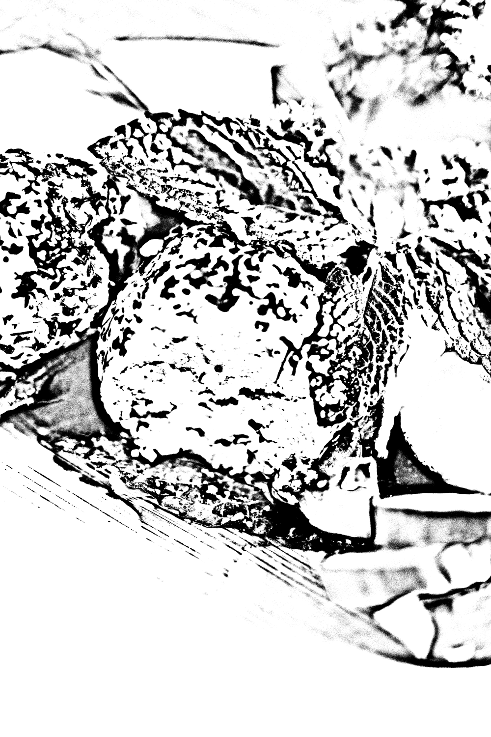 Inverted black and white photograph depicting close-up of food items.