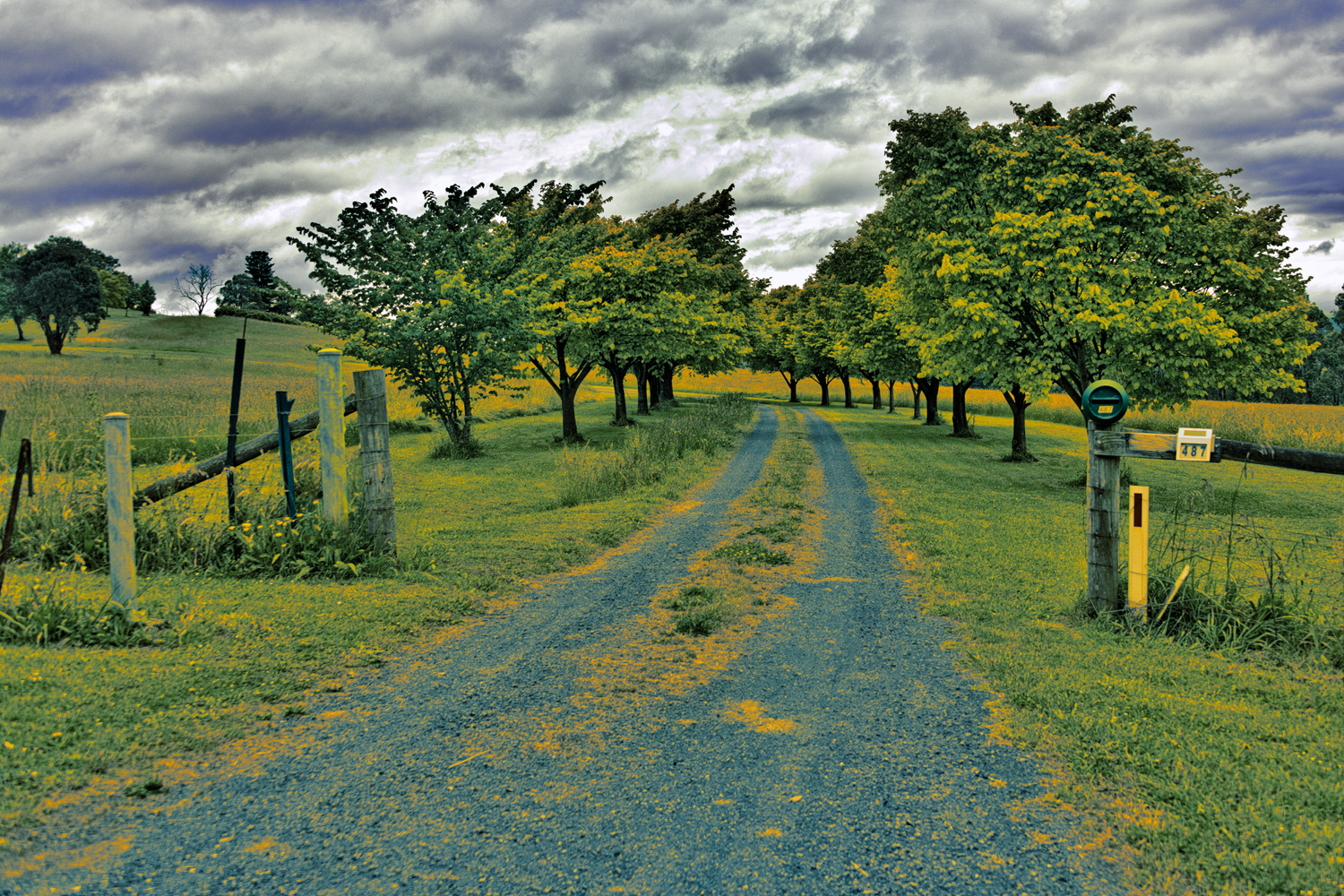 Colour tinted photograph depicting country road-side landscape.