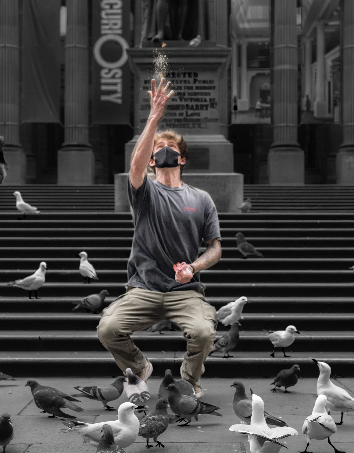 Colour photograph with digital rendering depicting a man throwing breadcrumbs in the air amongst a crowd of pigeons in a city environment.