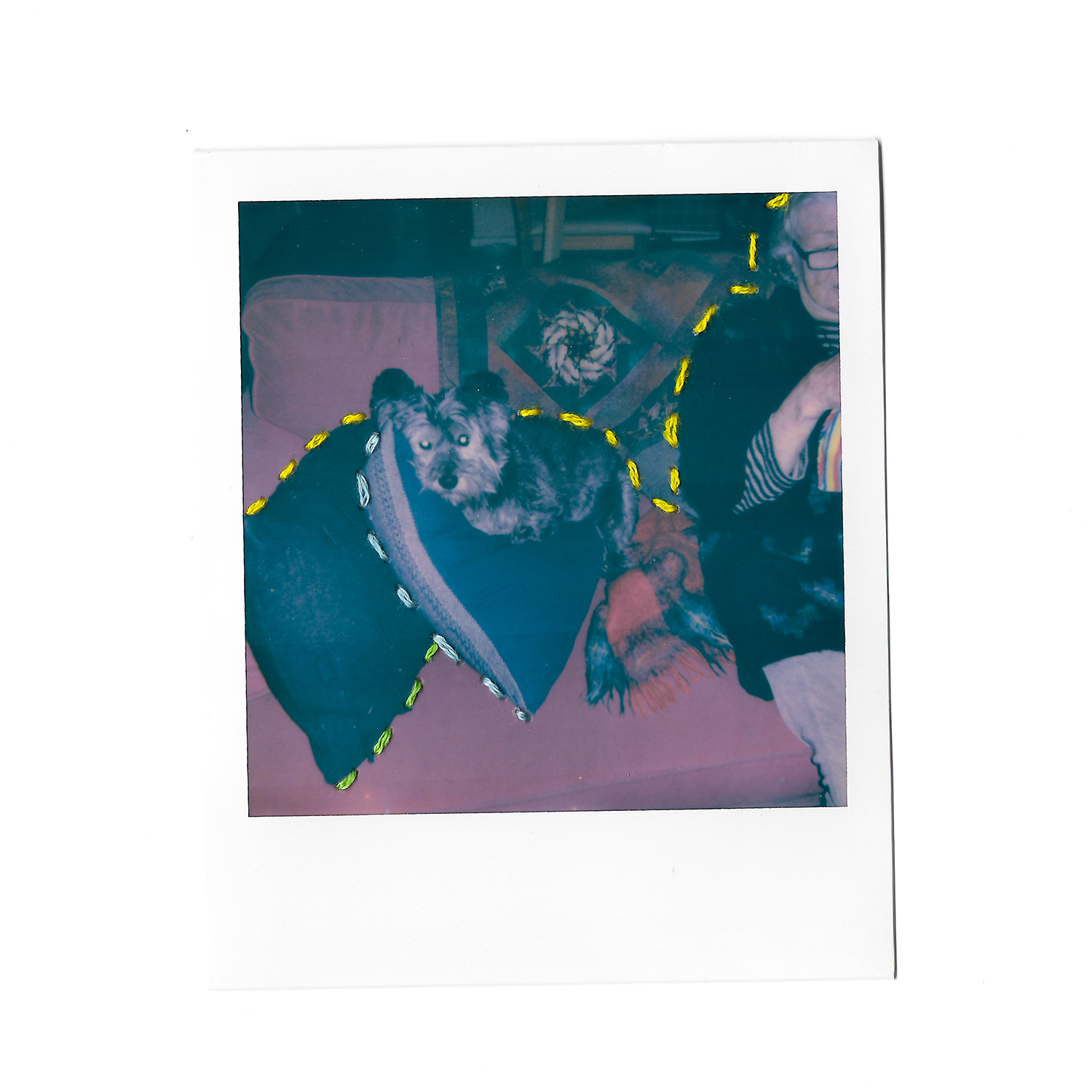 Polaroid photograph depicting image of small dog on couch with colourful embroidery sewn into the photograph.
