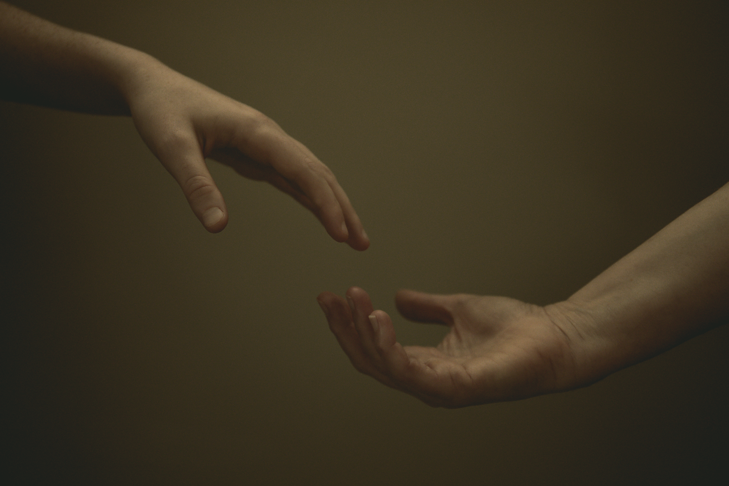 Colour photograph depicting two hands reaching to hold each other.