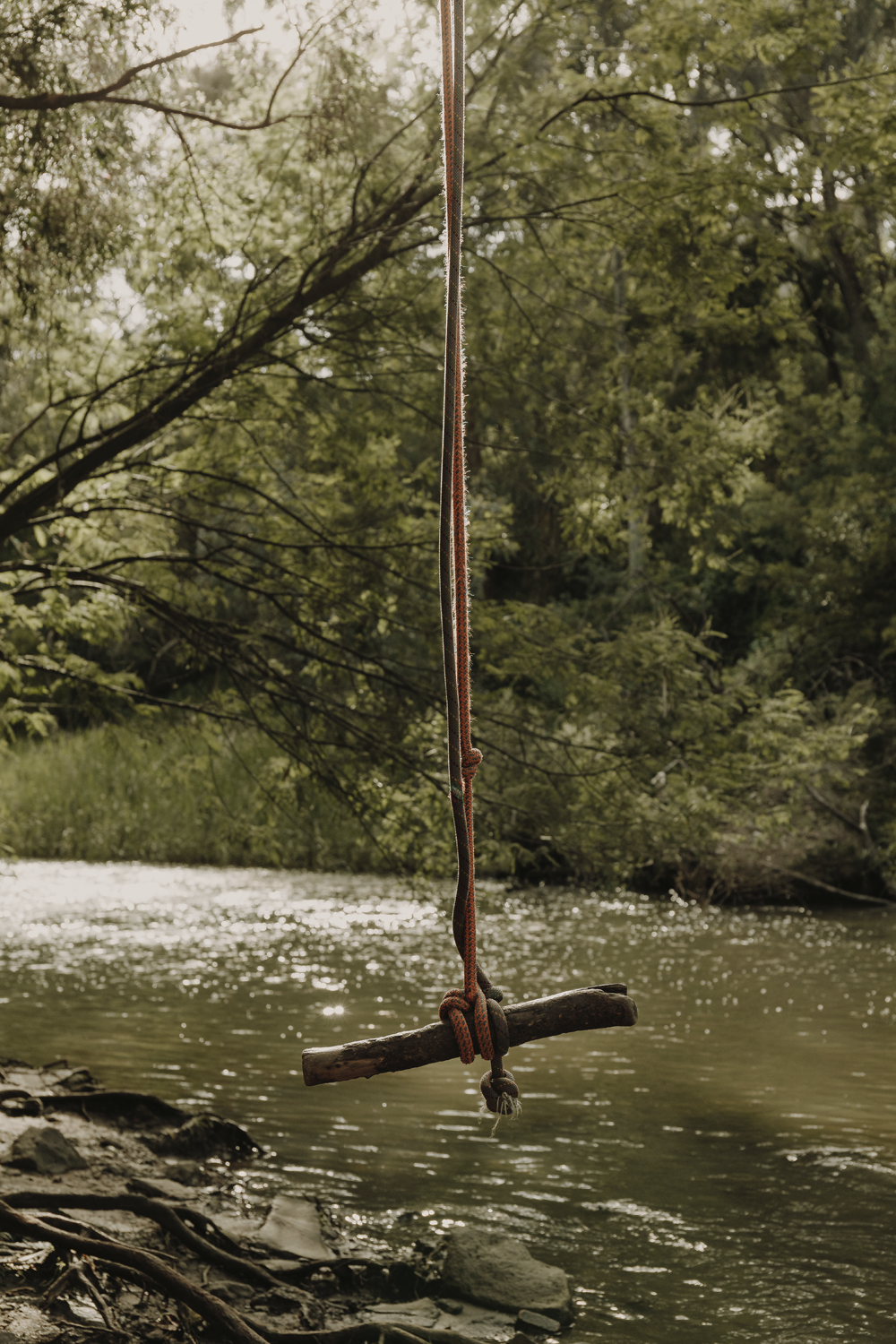 Colour photograph depicting a tree swing overlooking a creek landscape.