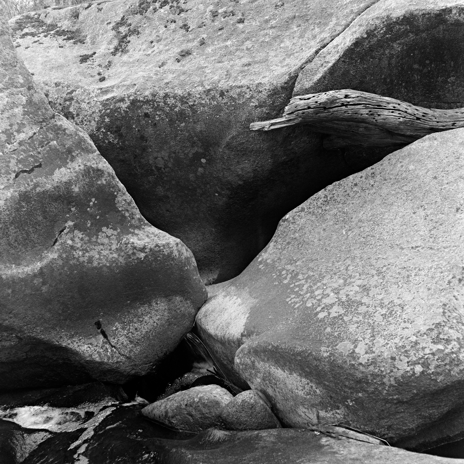Black and white photograph depicting smooth boulders in stream.