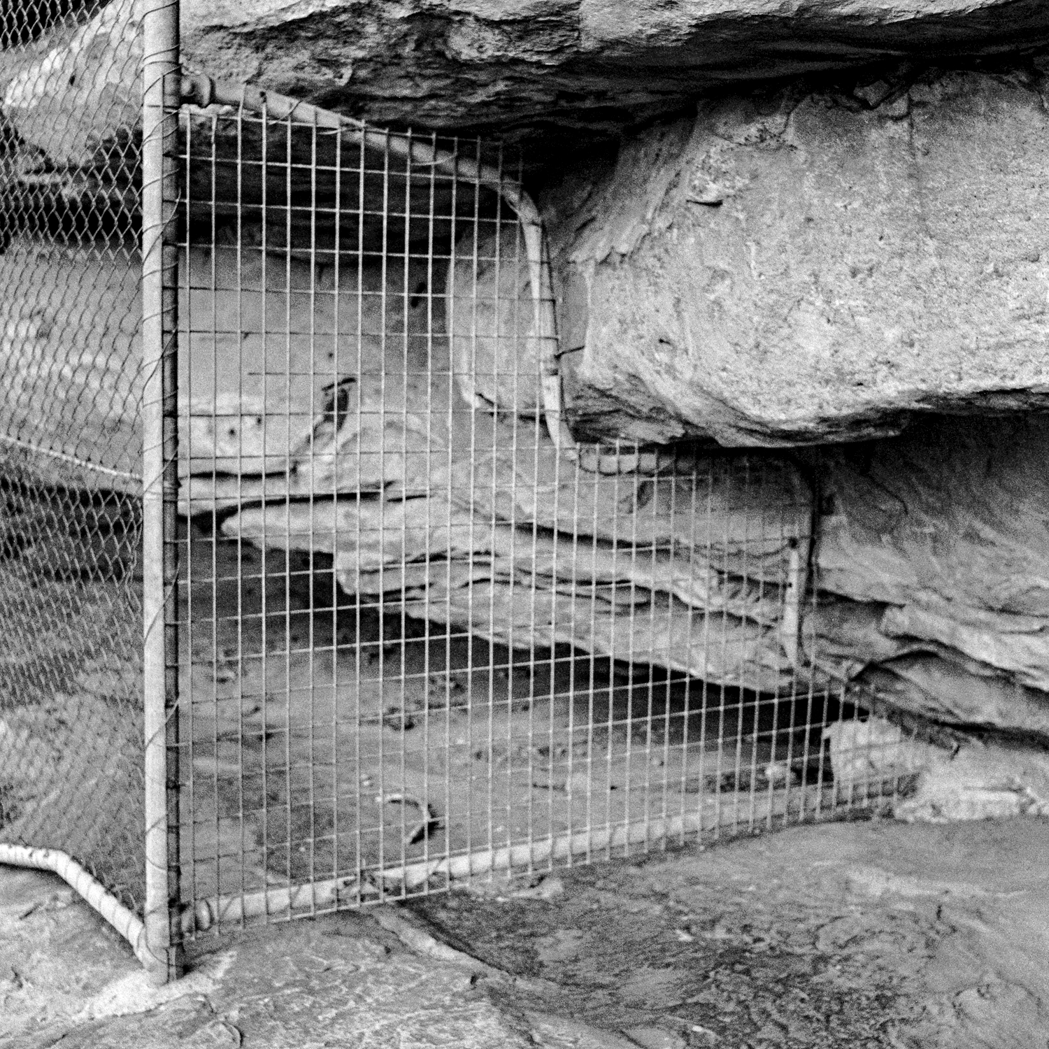 Black and white photograph depicting chainlink fence moulded to fit rock face.