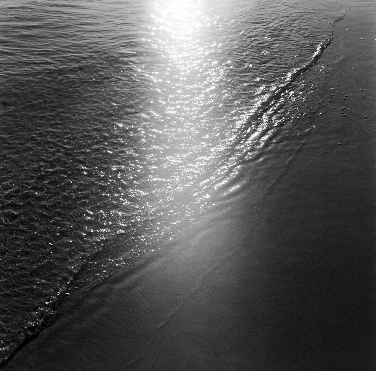 Black and white photograph depicting the shore line of a beach in dappled sunlight.