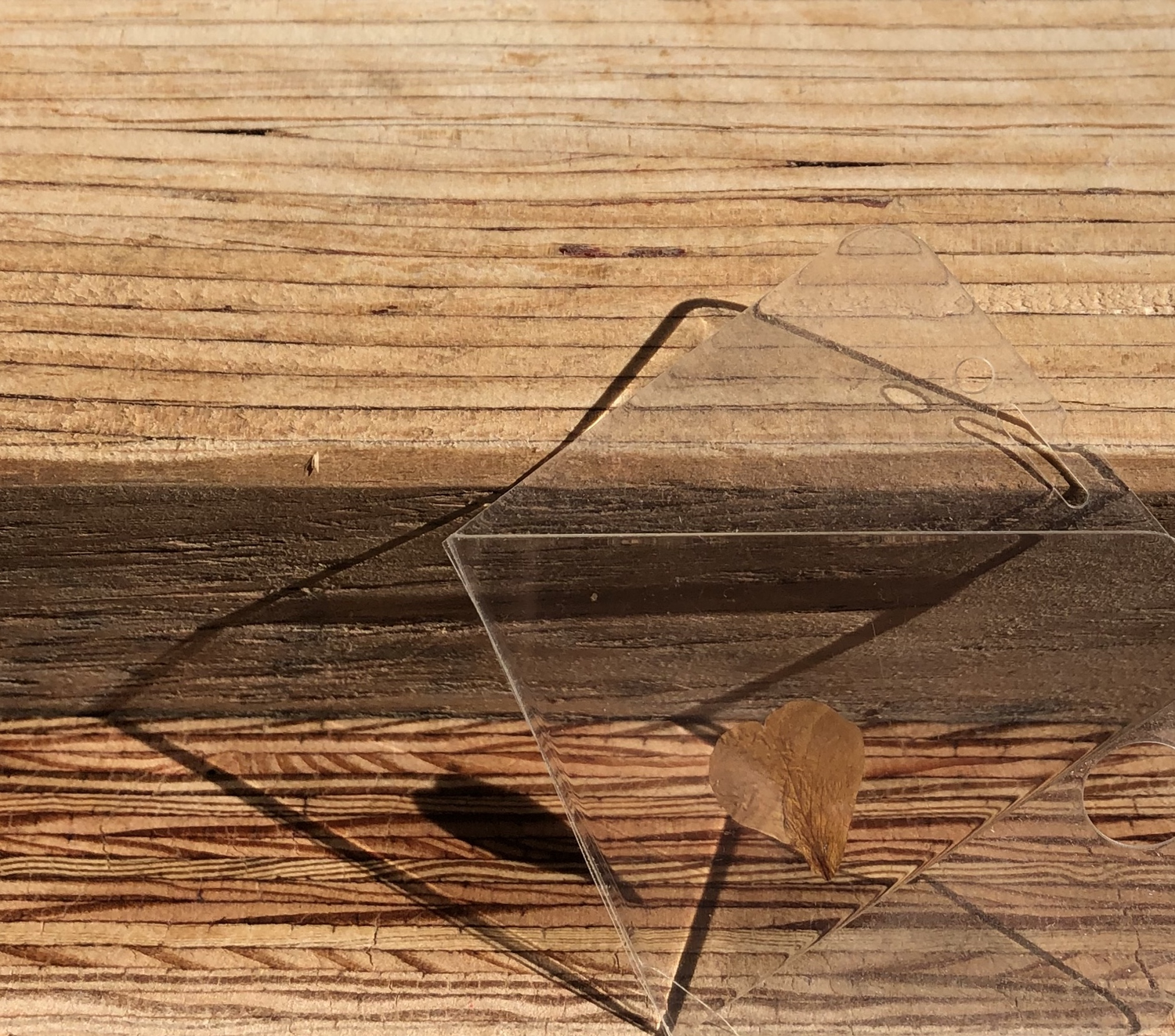 glass screen protector that has a rose petal encased leaning against plywood