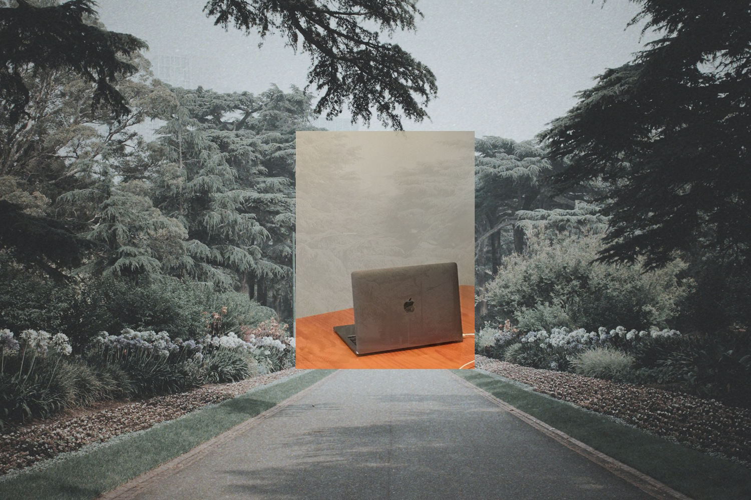 A digital collage of a path and a mac book (laptop) 