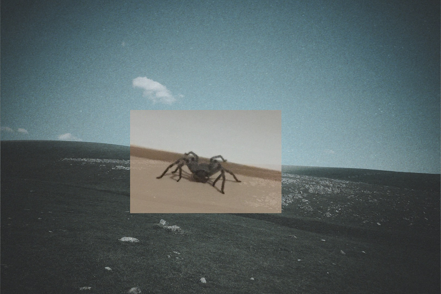 A digital collage of a hill and a spider