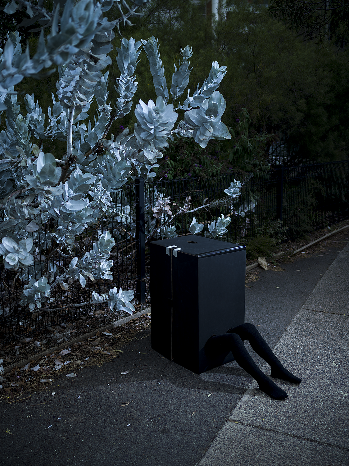 Black box character sits under celeste coloured plants. 