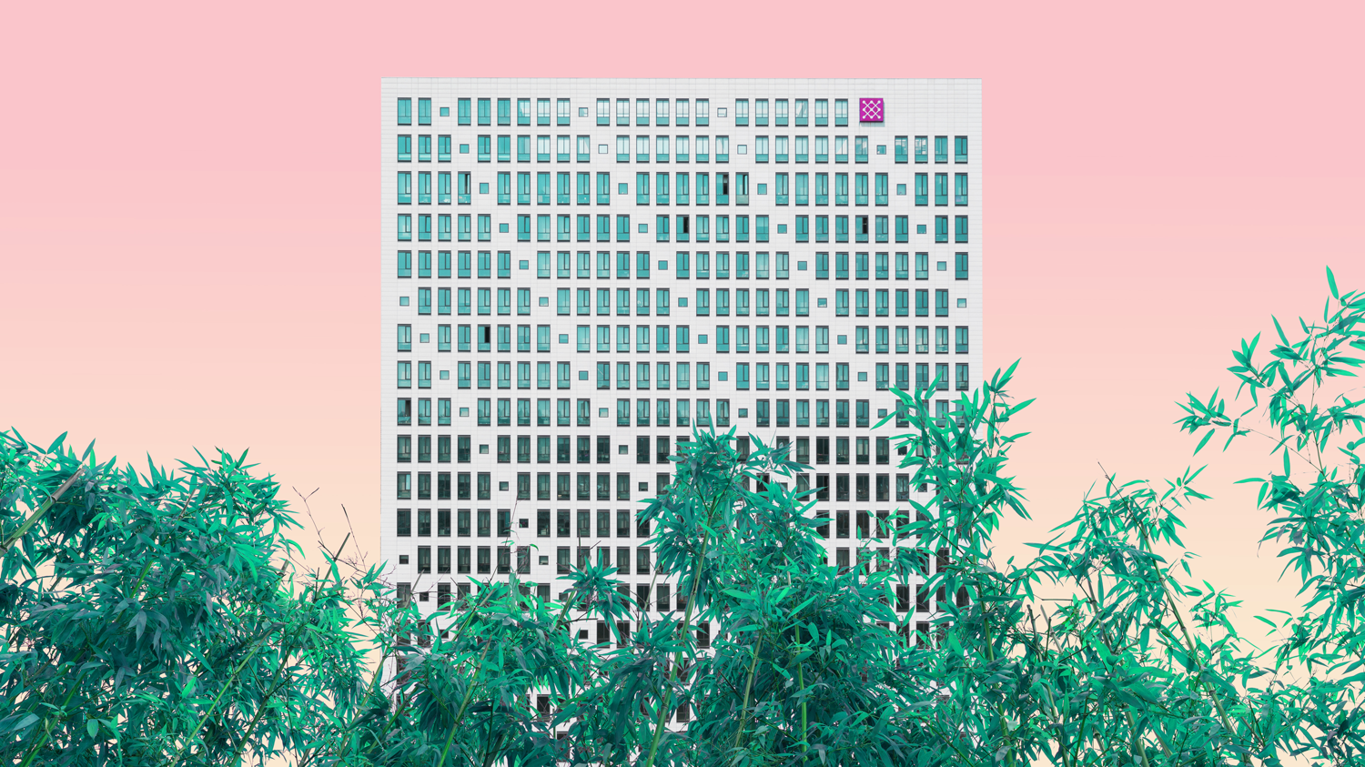 highly saturated image depicting the juxtaposition between urban architecture and nature