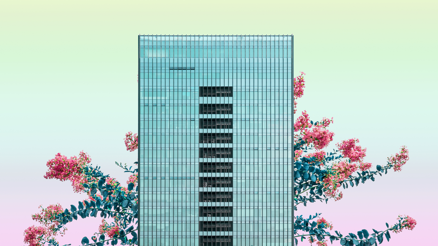 highly saturated image depicting the juxtaposition between urban architecture and nature