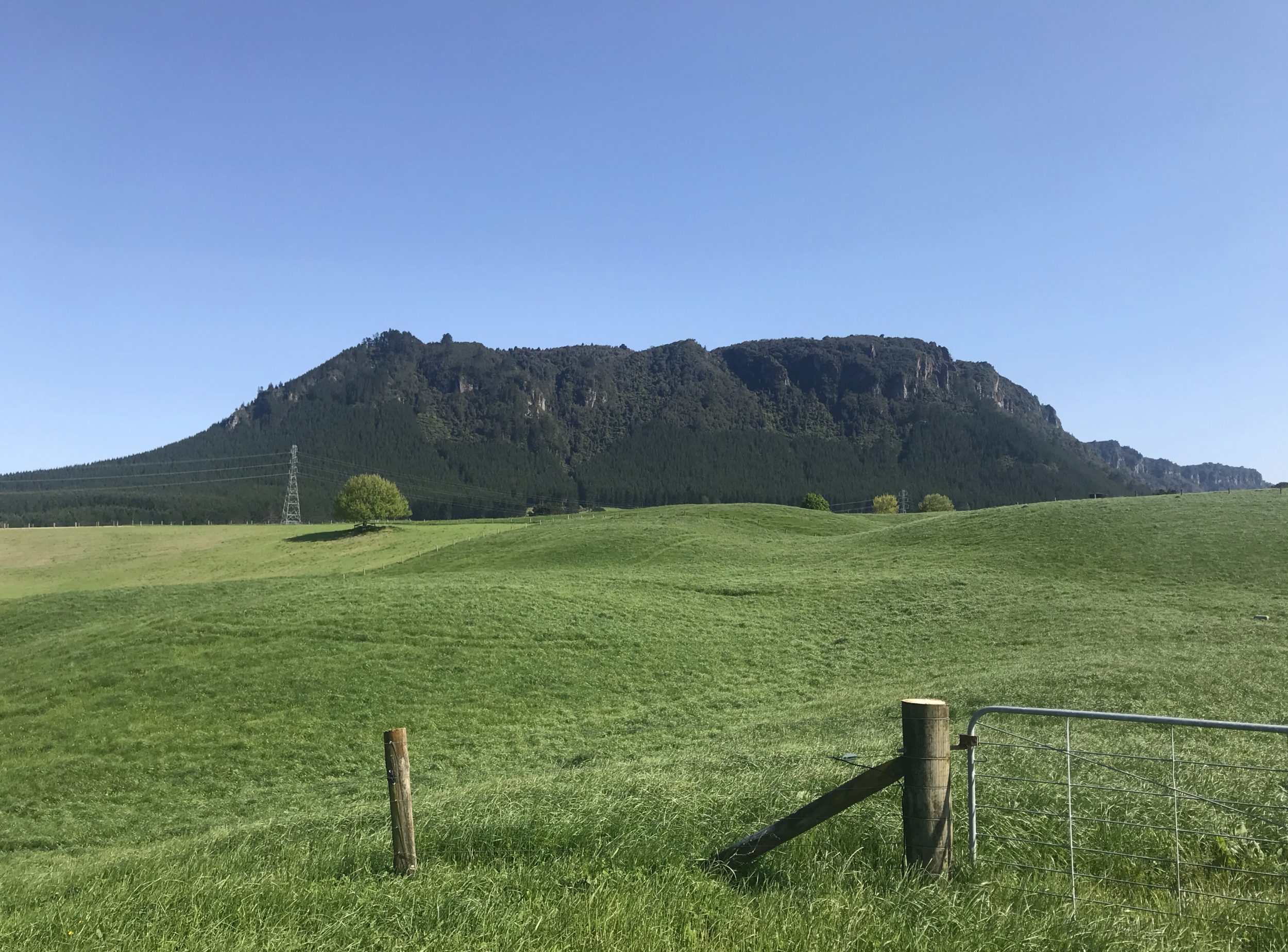 Screen Shot 2020-09-14 at 9.11.02 PM.png