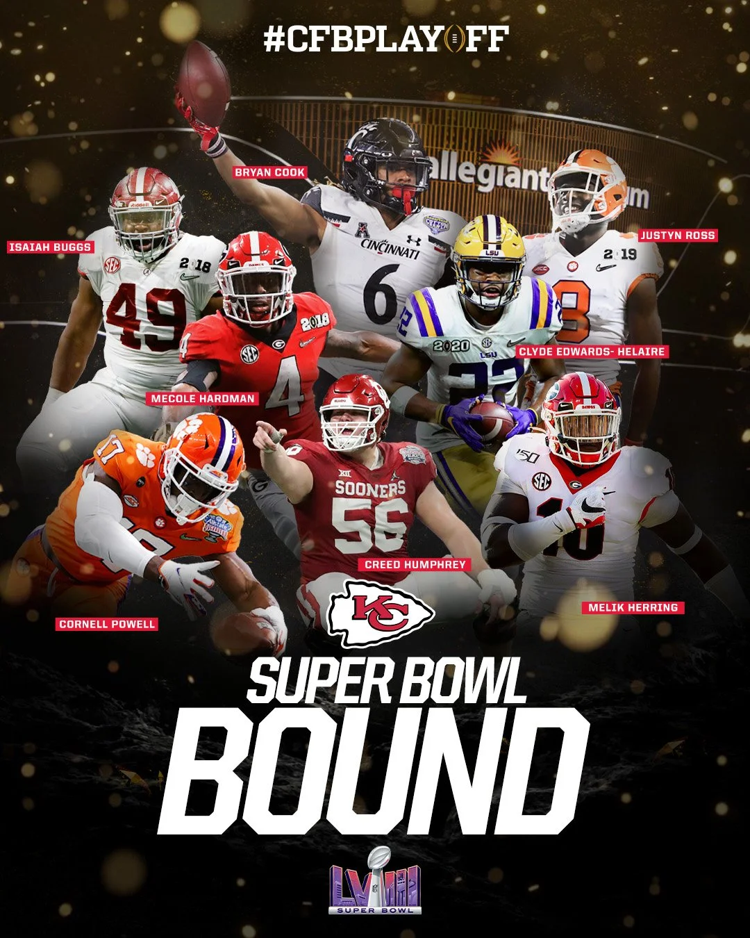 NFC CHAMPION IG GRAPHIC 2.jpg