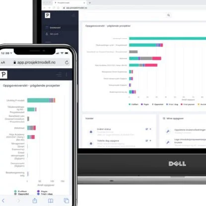 STN+ har bidratt sterkt til å utvikle en enkle modell for styring av prosjekter