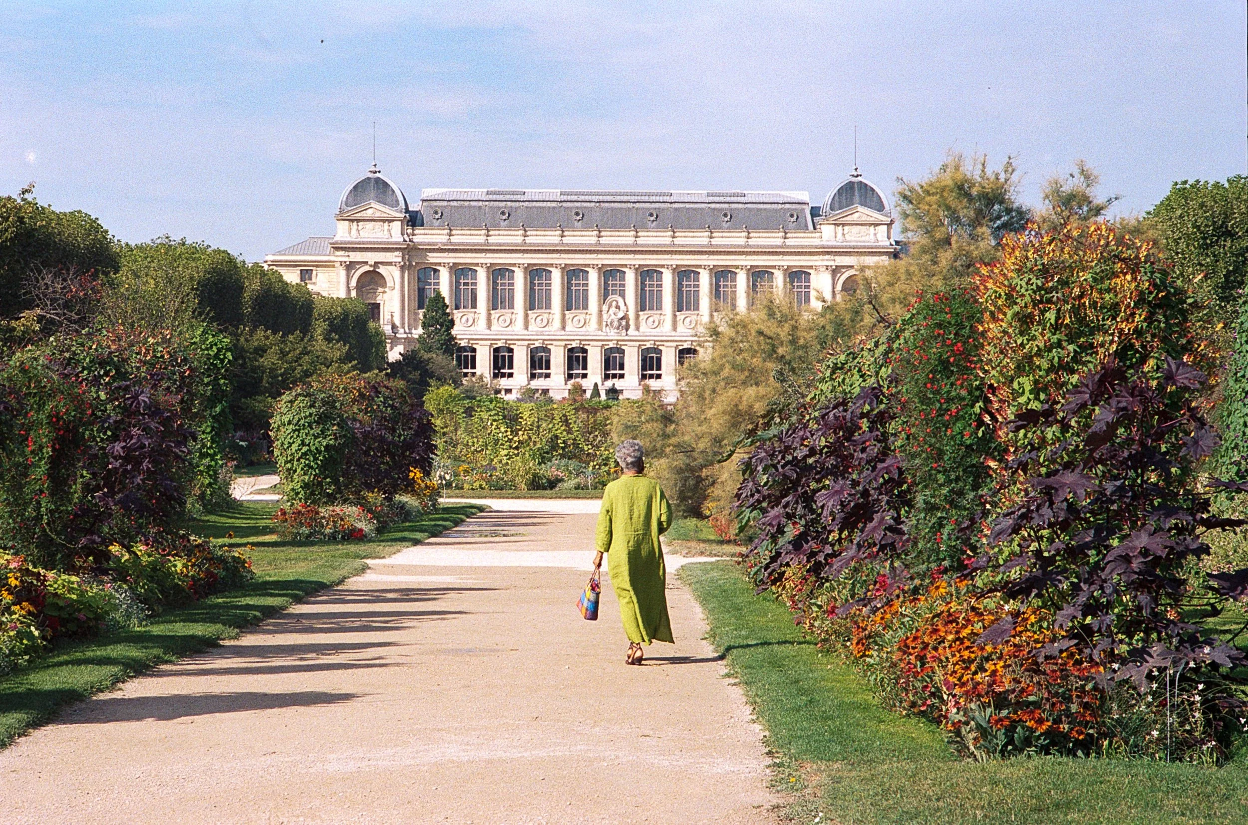 Image 2 11.jpg