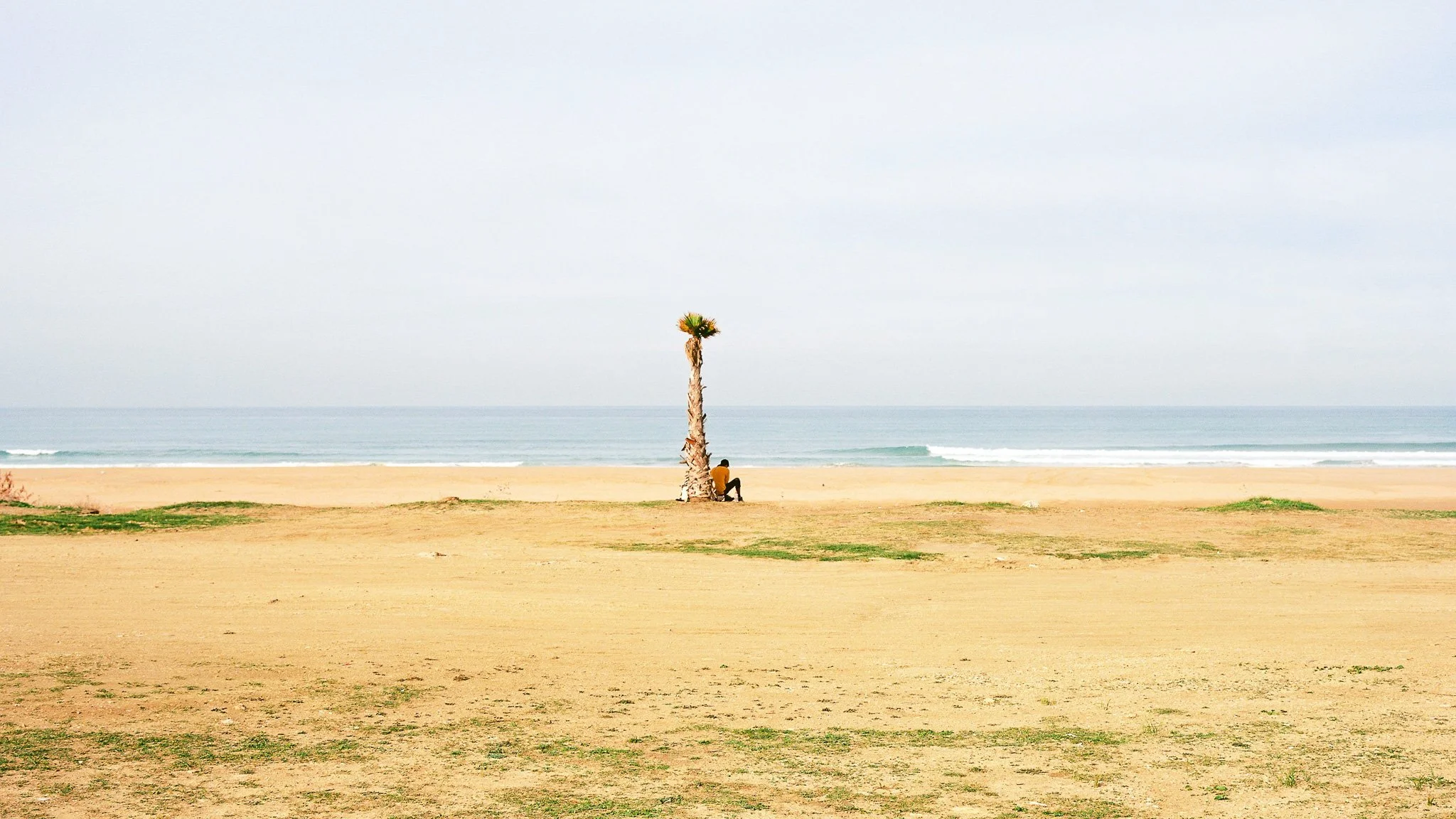 000010-5.jpg