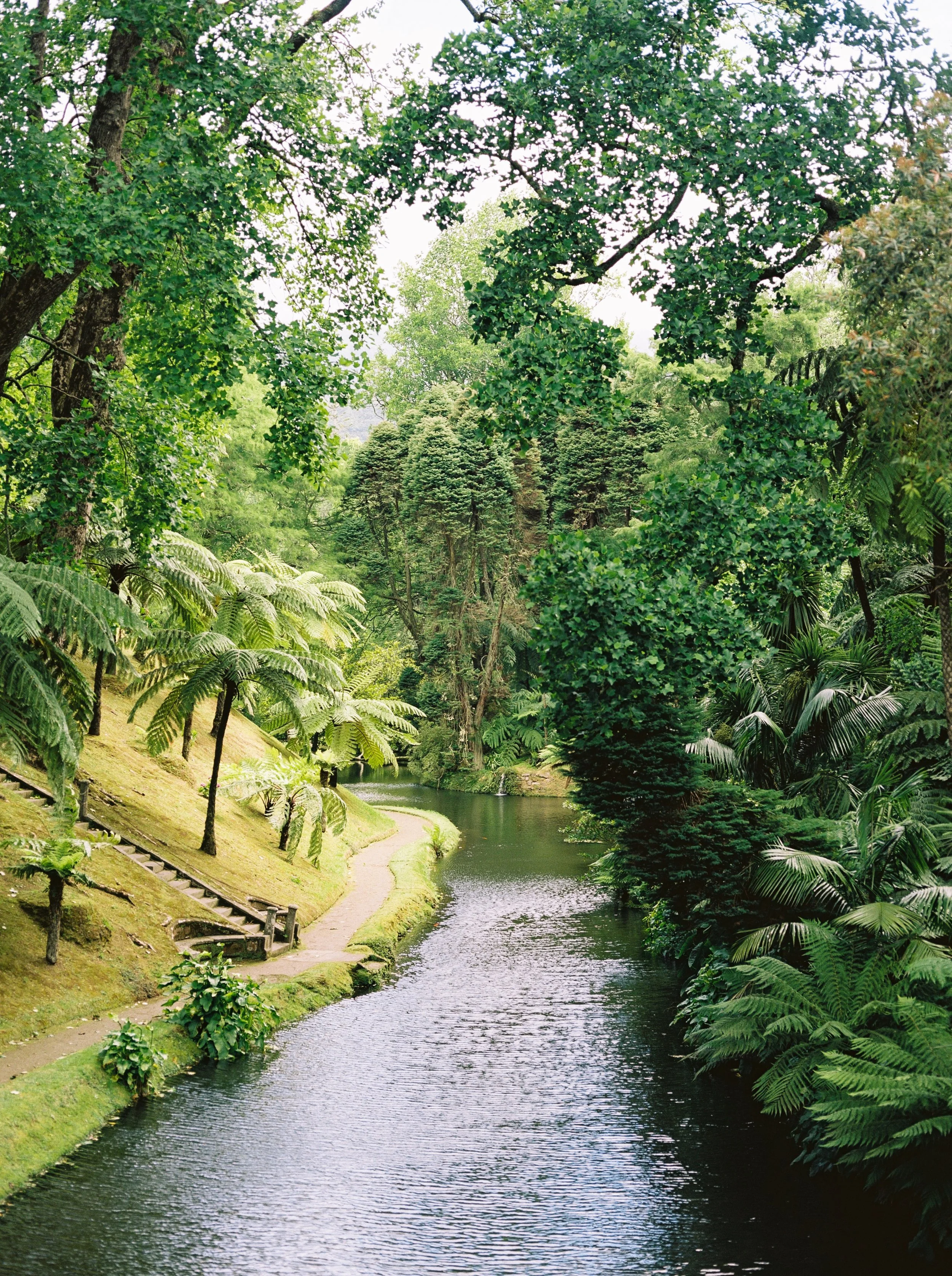 000011-8.jpg