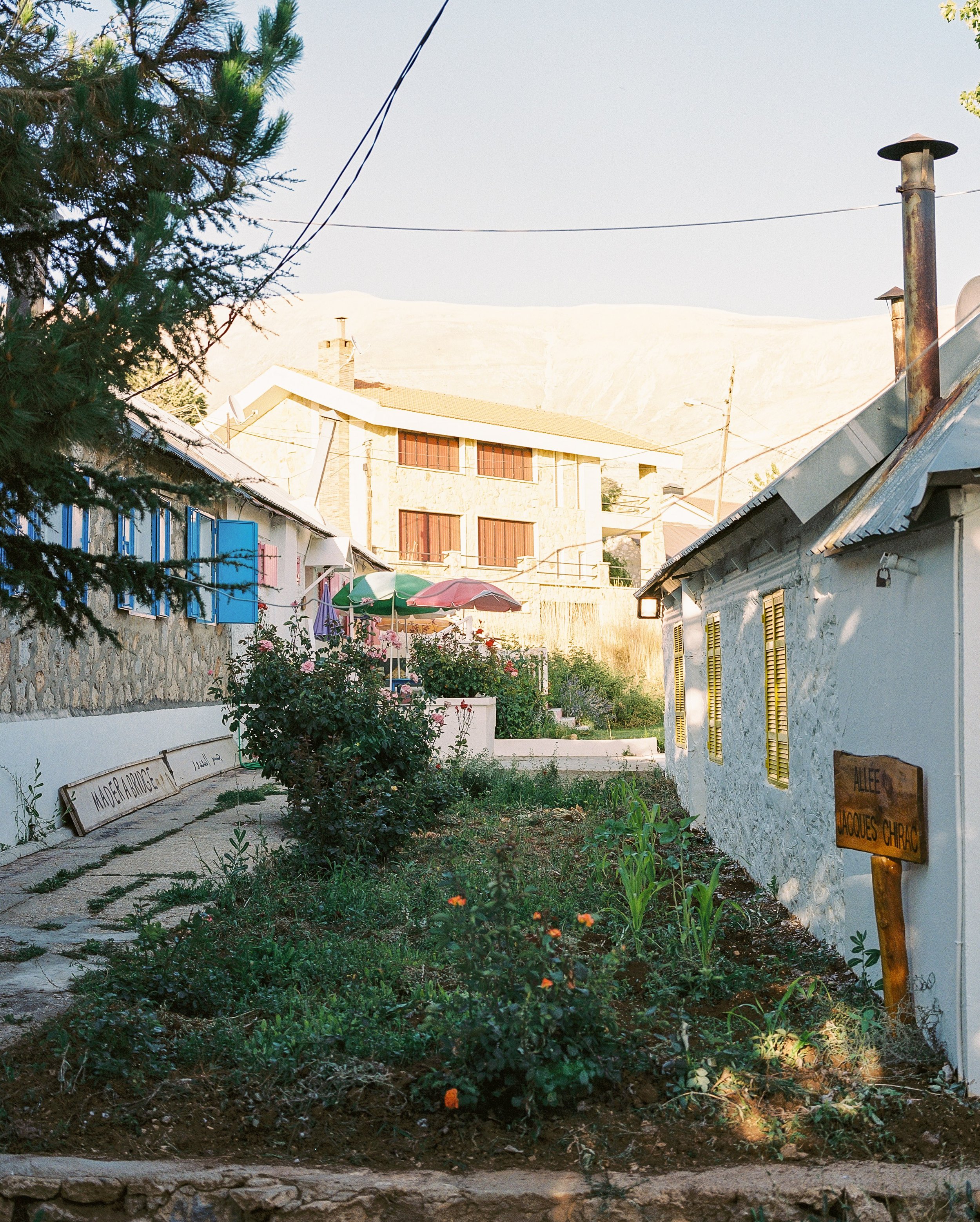 000011-6.jpg