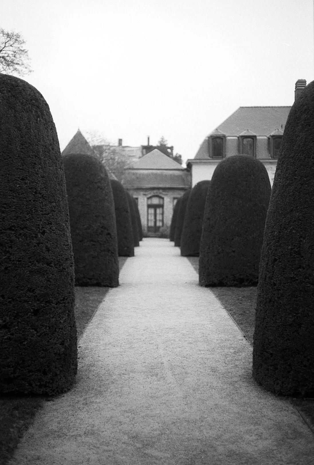 Image 1 20.jpg