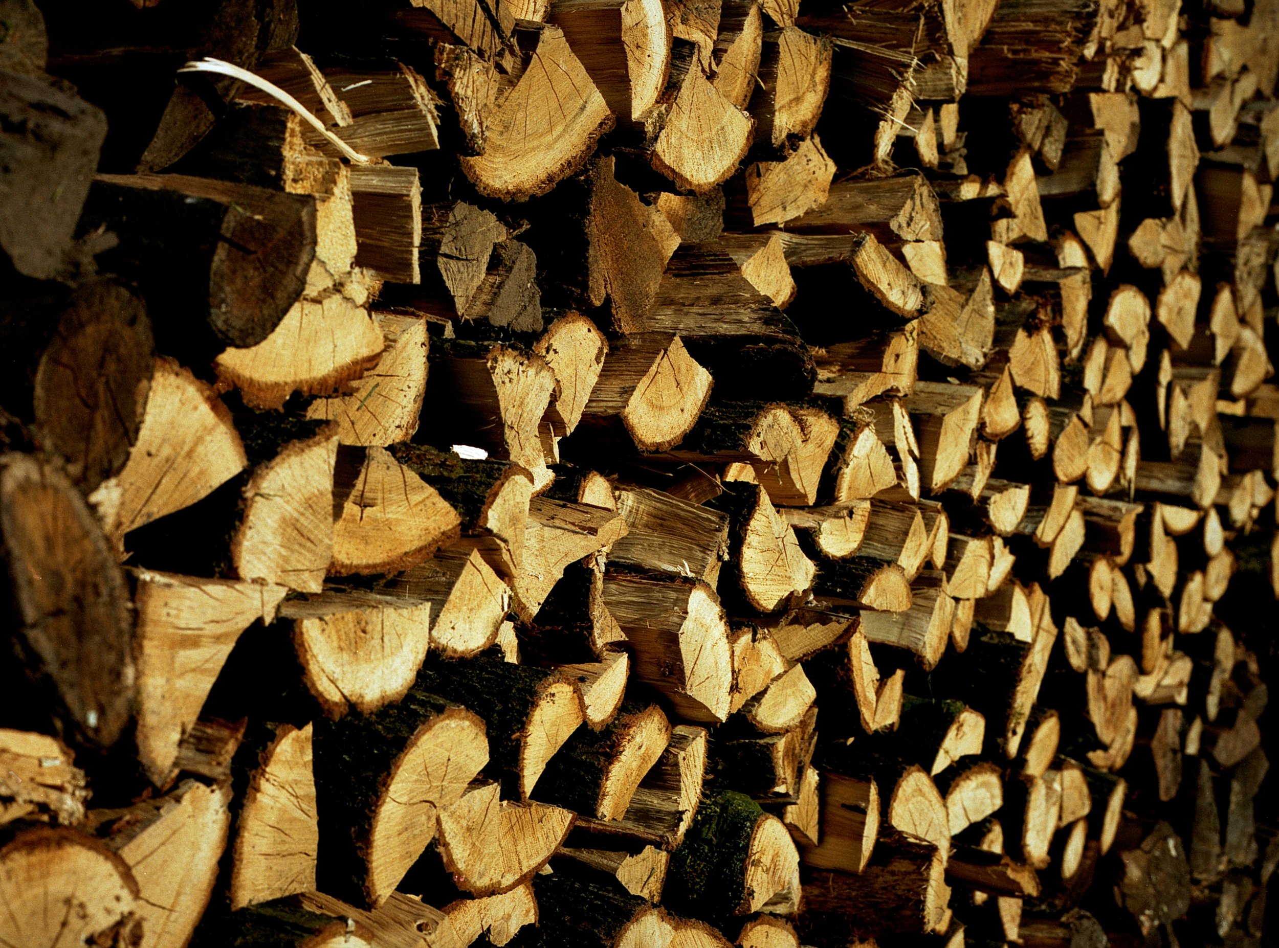 Image (8).jpg